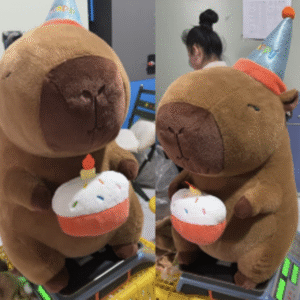 PELUCHE CAPIBARA CABI-73