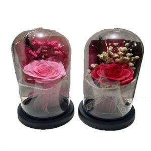 MODELO 026 Colección "Eterna Flor" (Domo de Cristal)