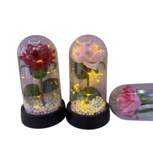 Modelo: K8572 – Domo Rosa Clásica de Tallo Largo