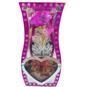 MODELO T-18 Marcos y Vitrinas Decorativas